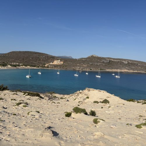 Elafonisos: Eigentlich wollten wir nur eine Nacht bleiben.
Dann blieben wir noch einen Tag. Und noch einen.
Und plötzlich waren mehrere Tage vergangen.
Das Wasser war so klar, dass man selbst bei 10 Metern Tiefe das Gefühl hatte, stehen zu können.
🏖️ Perfekt für Familien
🏄 Ideal für SUP und Wassersport
❤️ Wunderschön für Paare
🌊 Traumhaft zum Baden
💎 Für uns einer der schönsten Orte Griechenlands.